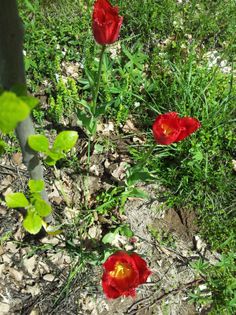 20140426_134613