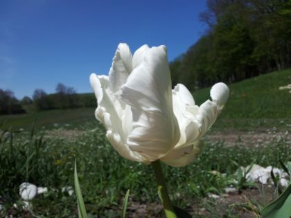20140426_142349