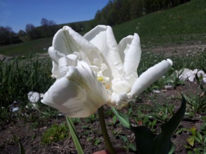 20140426_142357