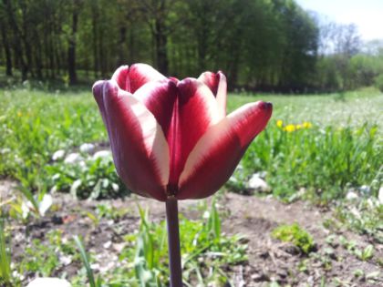 20140426_142522