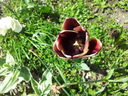 20140426_142530