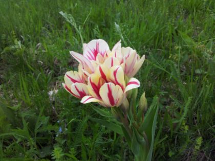 20140430_125402