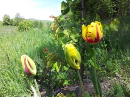 20140508_121921