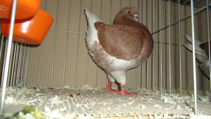 DSC03959