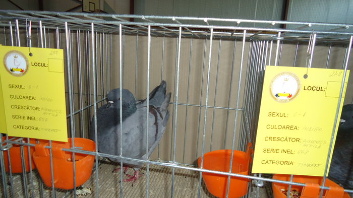 DSC03965