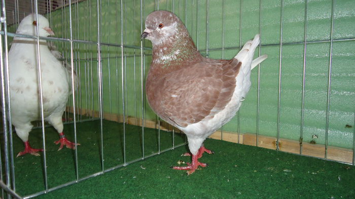 DSC03967