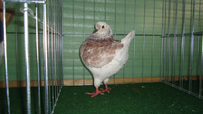 DSC03977