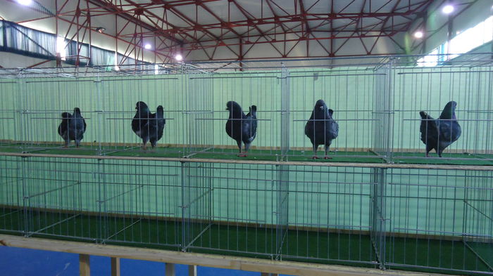 DSC04001