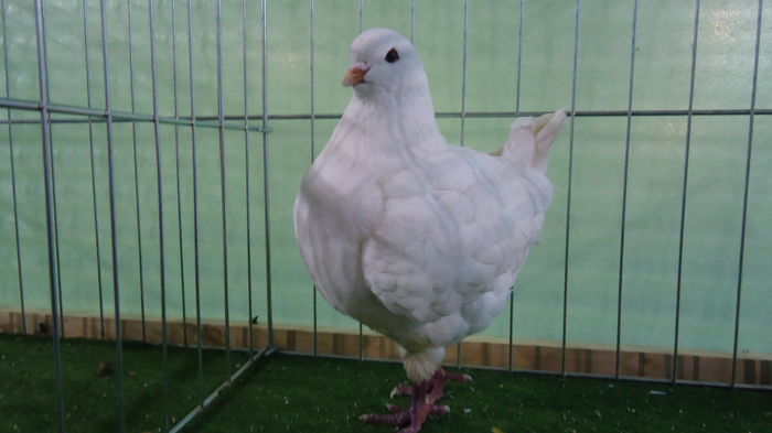 DSC04014
