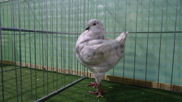 DSC04025