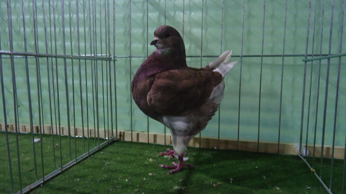 DSC04034