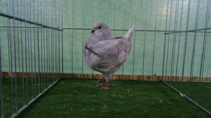 DSC04041