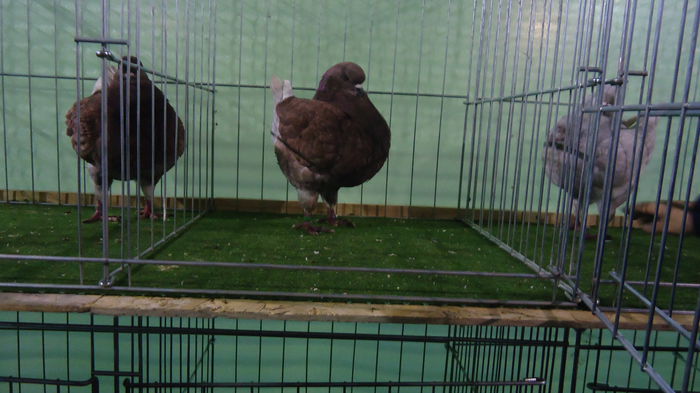 DSC04042
