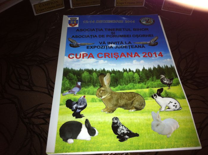 image - Expo Oradea