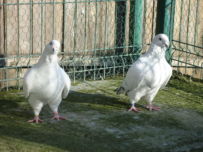 M-2011-388&M-2012-13331