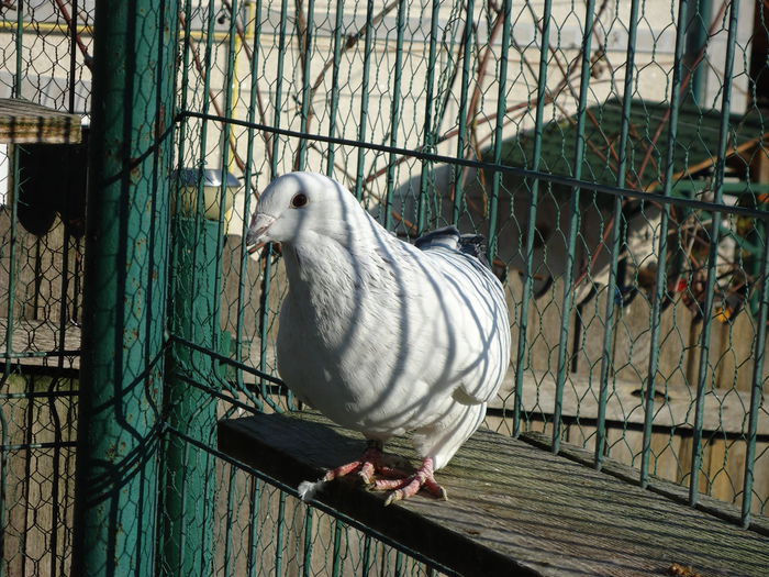 F-2014-997 - 0-VRdF-19-09-2014-24-05-2015