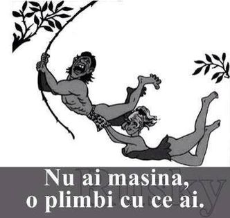  - Bancuri si voie buna