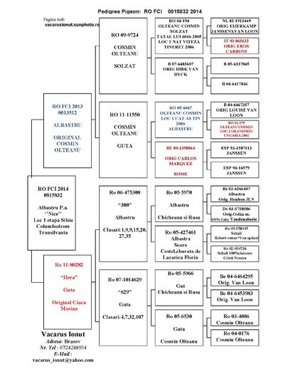 pedigree 815832-14