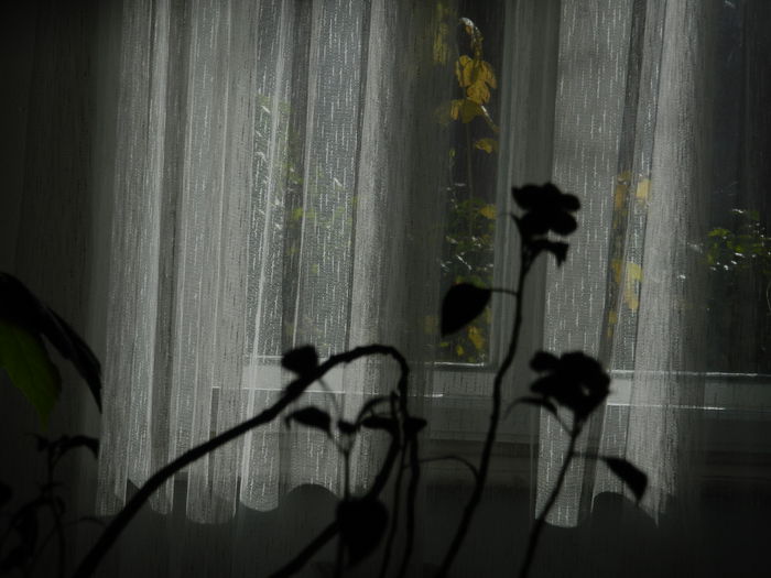 DSCN5821 - DECEMBRIE_2014