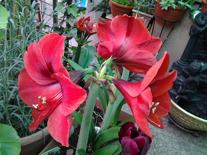 20140422_170205