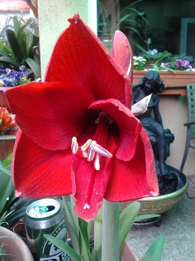 20140415_154014