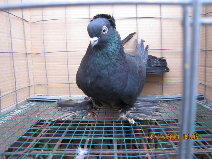 jucatori uzbeci 024