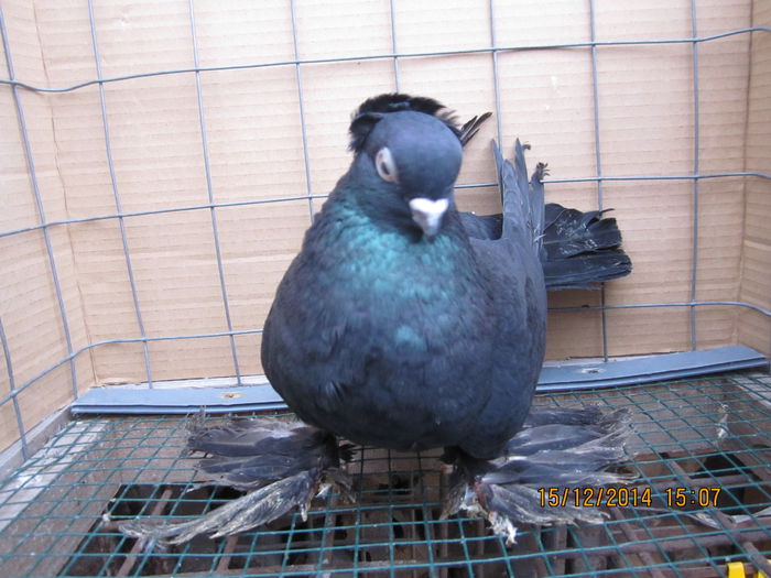 jucatori uzbeci 025