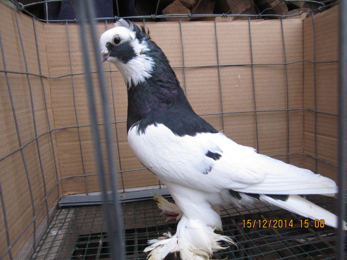 jucatori uzbeci 029