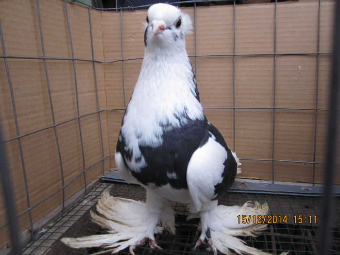 jucatori uzbeci 037