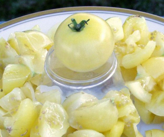 Tomate cherry Snow White - De vanzare seminte -legume-mirodenii-flori-arbori