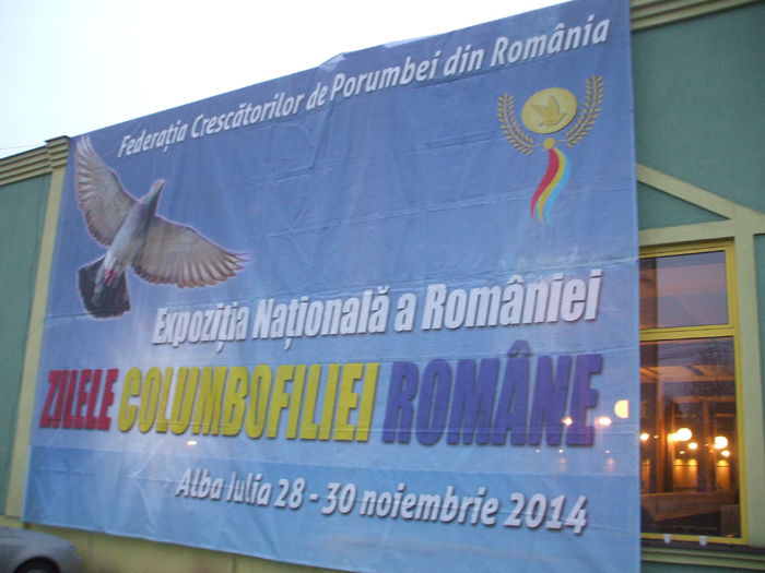 DSCF0620 - Expozitia Nationala a Romaniei - ZILELE COLUMBOFILIEI ROMANE - Alba Iulia 28-30 noiembrie 2014