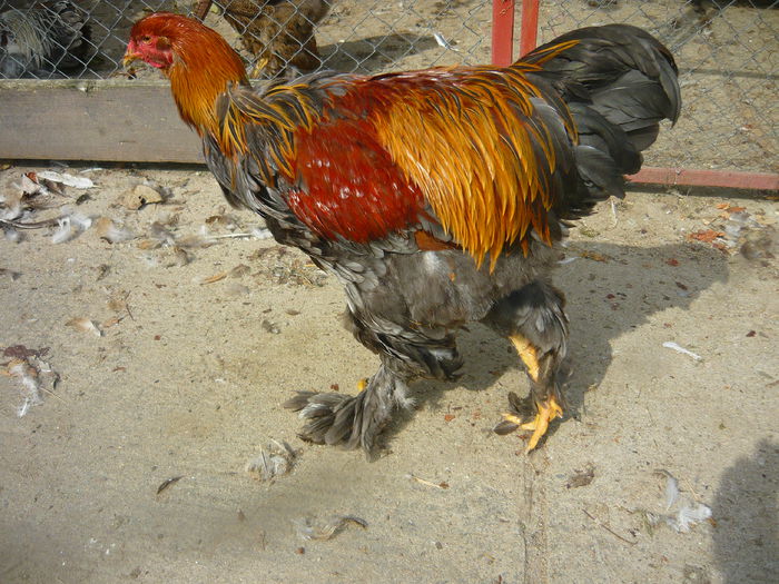 P1130833