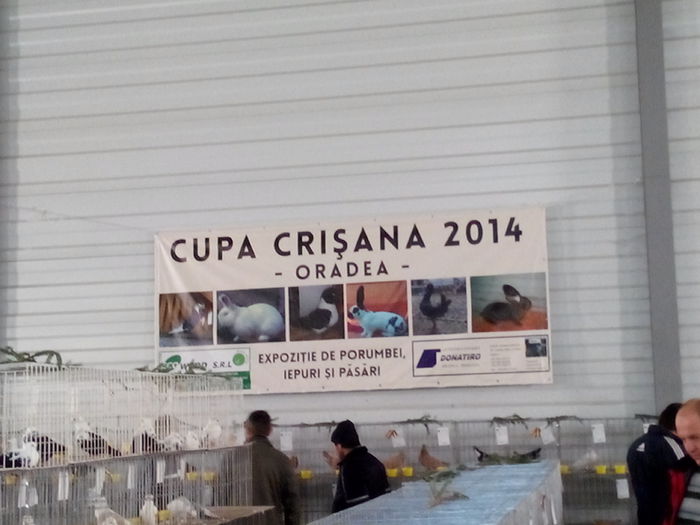 Cupa Crisana 2014 - Expo Oradea 2014