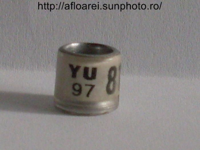 yu 97