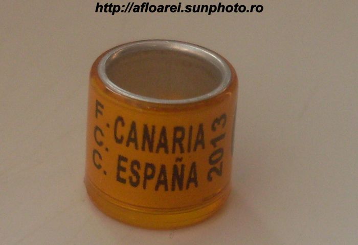 canaria espana 2013 - CANARIA