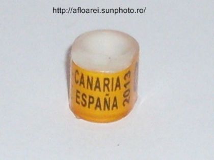 canaria espana 2013 icom - CANARIA