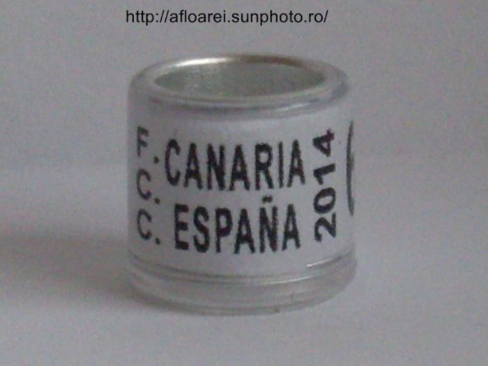 fcc canaria espana 2014