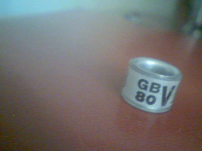 gb 80 V