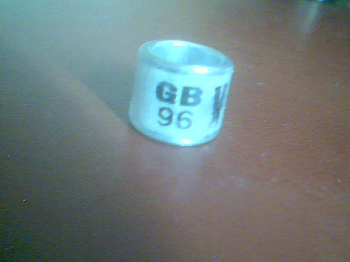 gb 96 V