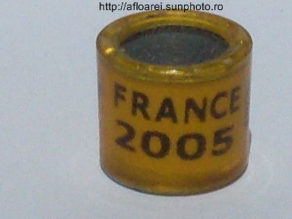 france 2005 - FRANTA