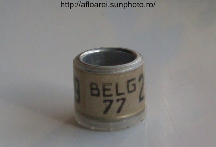 belg 77 - BELGIA-BELG