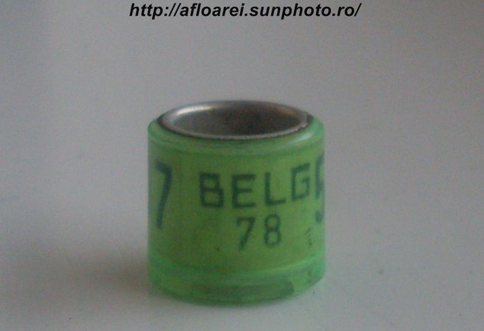 belg 78 - BELGIA-BELG