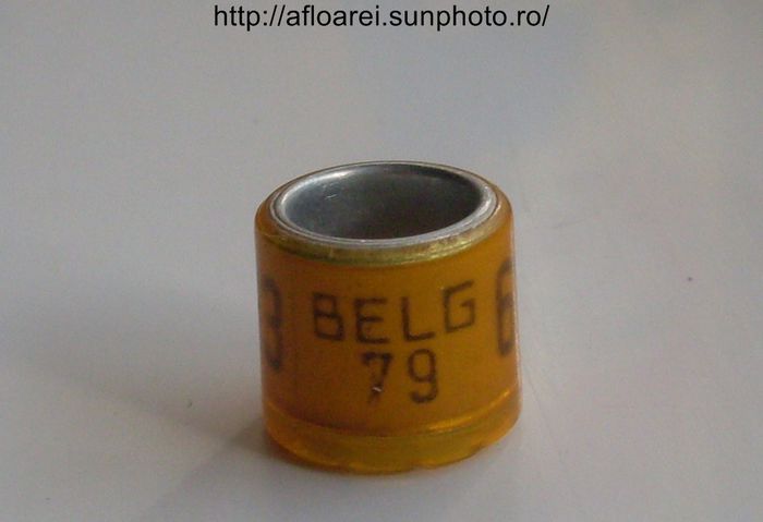 belg 79 - BELGIA-BELG