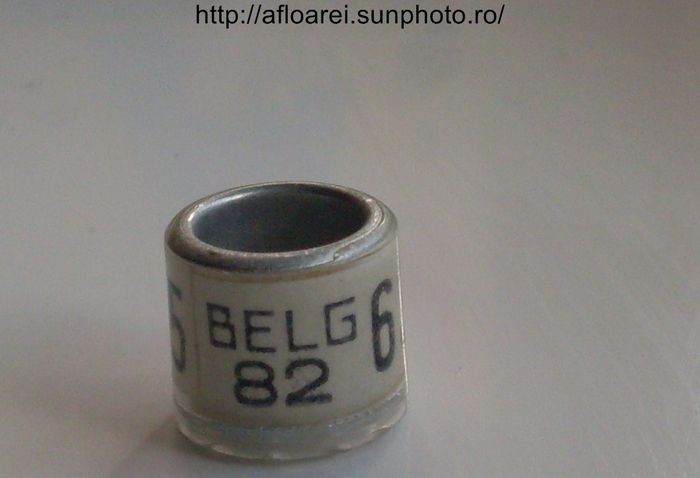 belg 82 - BELGIA-BELG
