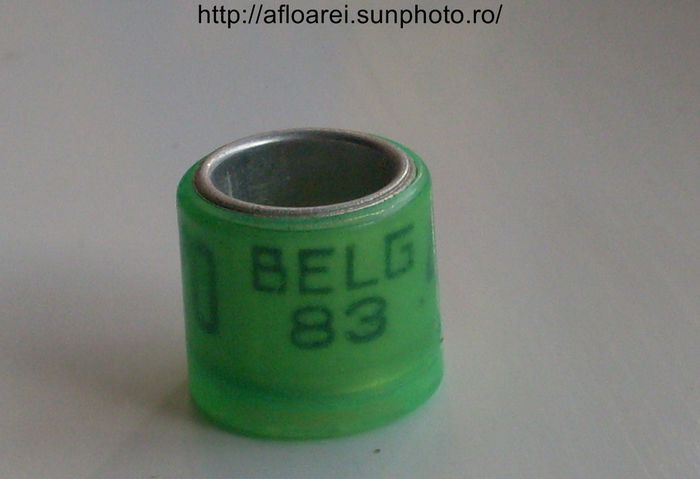 belg 83 - BELGIA-BELG