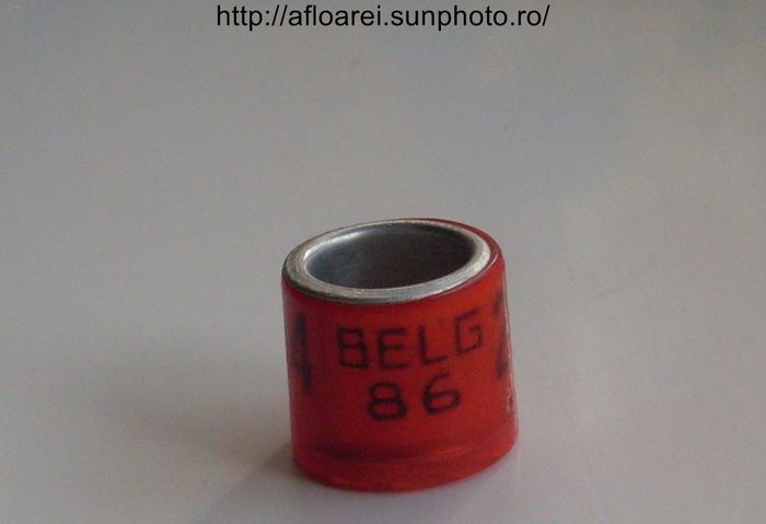 belg 86 - BELGIA-BELG