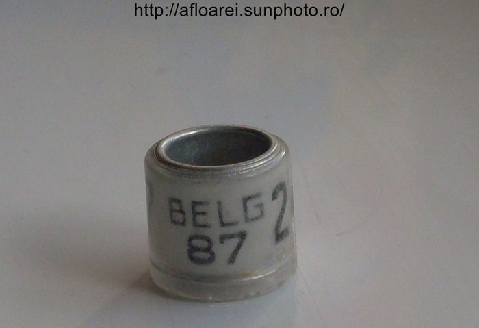 belg 87 - BELGIA-BELG