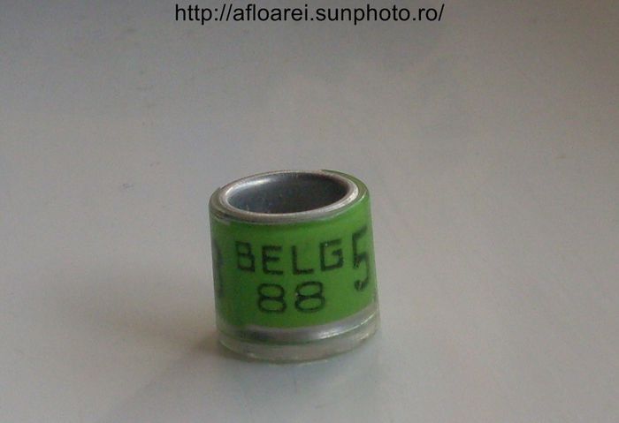 belg 88 - BELGIA-BELG