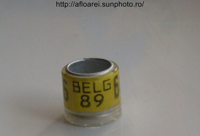 belg 89 - BELGIA-BELG