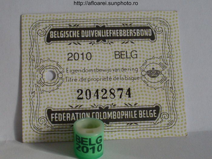 belg 2010 - BELGIA-BELG